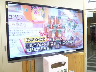 P1010292.jpg
