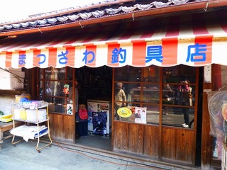 P1010493.jpg