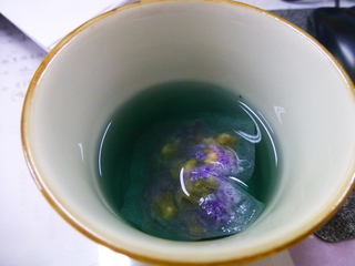 P1010557.JPG
